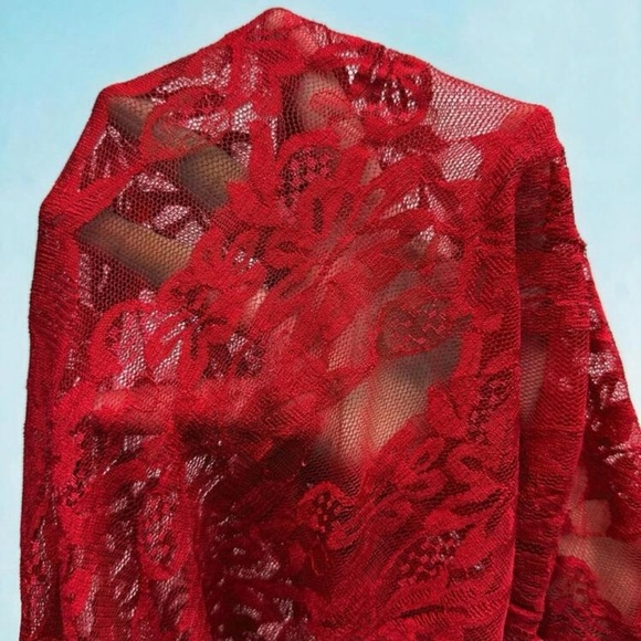 ๐ฅ Sexy Sheer Lace Flare Pants - Size Large ๐ฅ - Picture 2 of 5